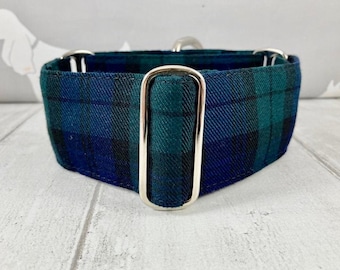 Navy blue and Green Tartan Collar | Martingale Collar | Martingale Collar and Lead | Tartan Dog Collar | Martingale Collar in the UK