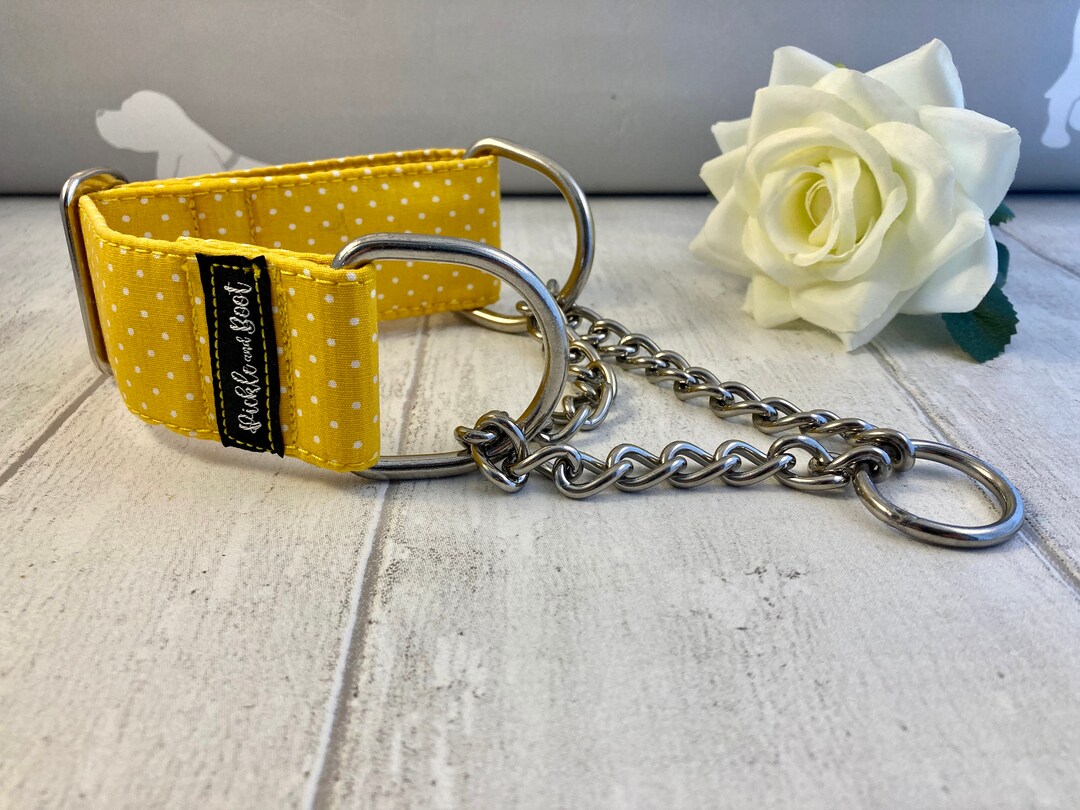 Half Check Dog Collar Half Check Dog Collar and Lead Half Check Collar
