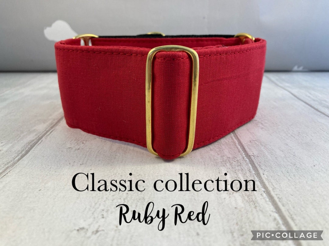 Martingale Collar Martingale Collar and Lead Red Martingale Red Dog