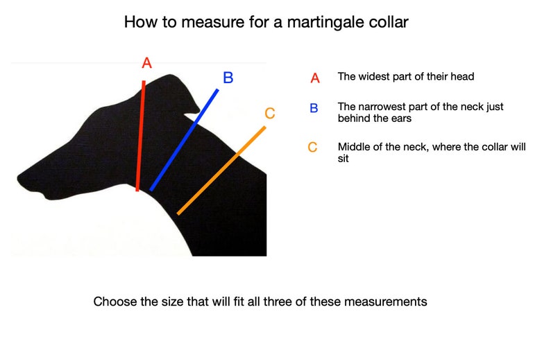 K&ouml;nnte beinhalten: Diagramm zur Messung f&uuml;r ein Martingale-Halsband. Die Abbildung zeigt eine schwarze Silhouette eines Hunde-Kopfes und -Halses mit farbigen Linien, die Messpunkte angeben: A, B und C. Text erkl&auml;rt jeden Messort.