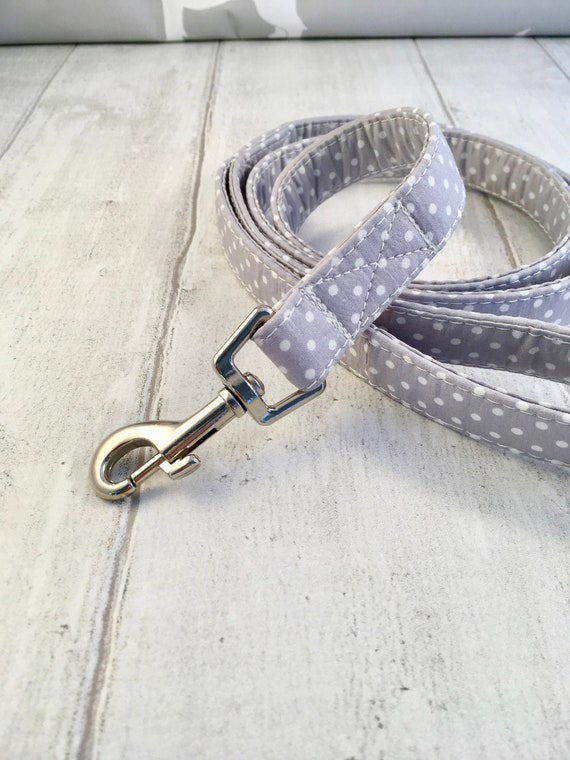 grey dog lead
