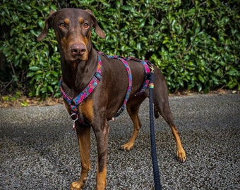 Liberty Ciara triple point harness | Adjustable Dog Harness | Sighthound harness | Greyhound | Whippet | Italian Greyhound | Saluki