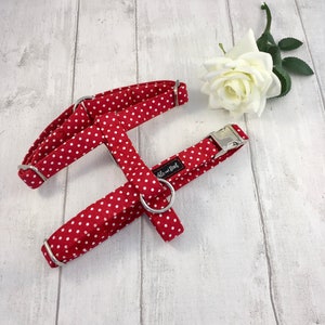 Dog Harness | Red Dog Harness | Spotty Dog Harness | Strap Dog Harness | Designer Dog Harness | Cute Dog Harness | Dog Harness and Lead Set
