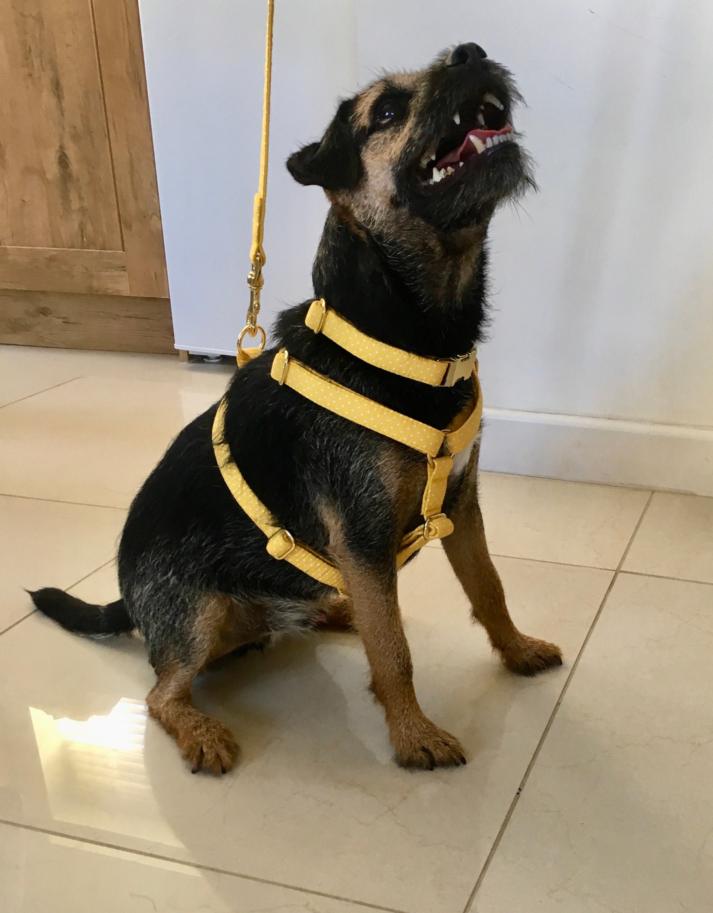 Dog Harness Mustard Dog Harness Strap Dog Harness Yellow Dog