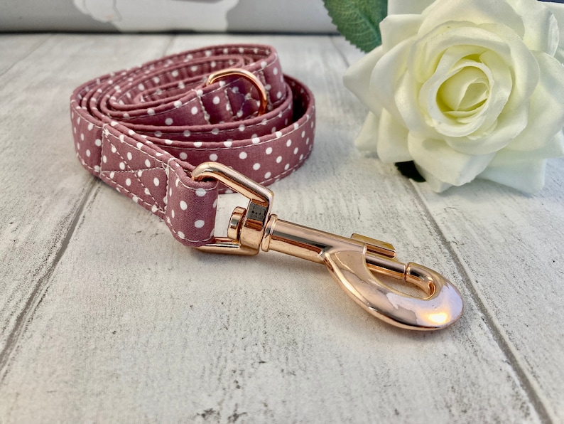 May include: A mauve dog lead with white polka dots, rolled up. It features a gold-coloured metal clasp and ring. A white rose is in the background.