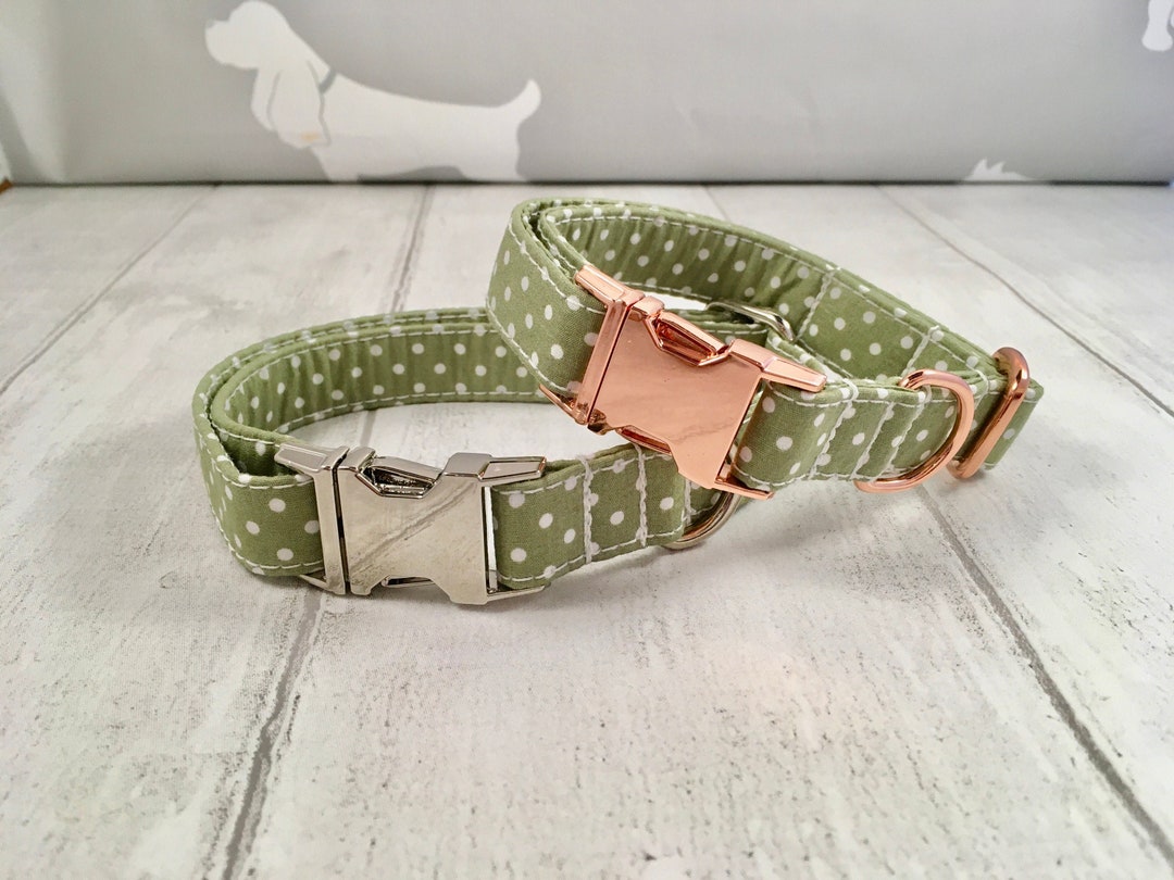 Dog Collar Green Dog Collar Polka Dot Dog Collar Dog Etsy