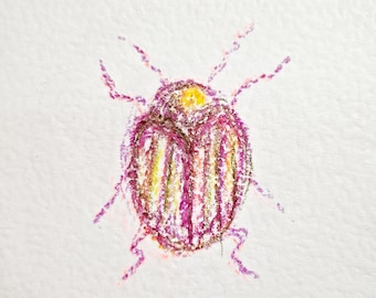 Colorful Beatle Sketch, Original Drawing, Oil Pastel, Mininmalist Artwork, Bug Study