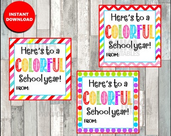 Instant download, Back to School Colorful Year Gift Tag, meet the teacher, parents, new year, school, new teacher tag, printable tag