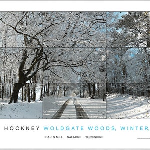 DAVID HOCKNEY - &#39;Woldgate Woods, Winter&#39; - original exhibition poster (Limited first edition. Salt Mills)