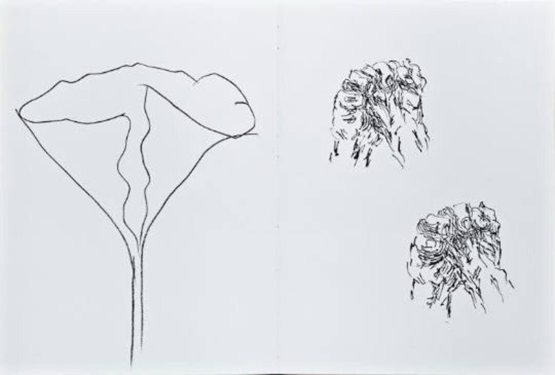 ELLSWORTH KELLY - 限定版オリジナルヴィンテージリトグラフ - 1982