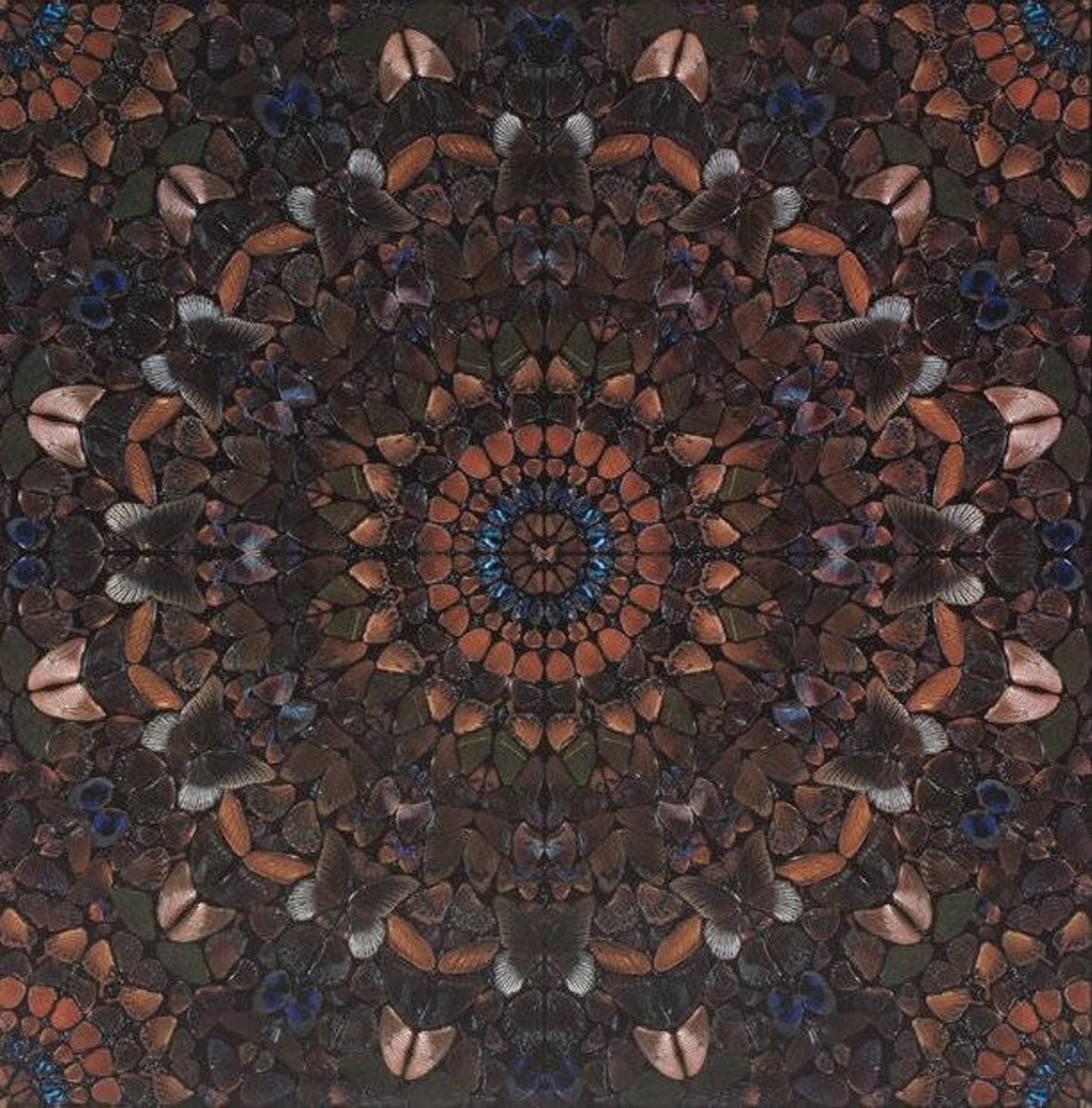 Damien hirst butterfly - Etsy 日本
