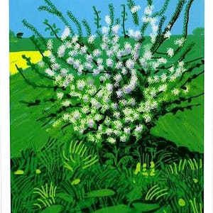 DAVID HOCKNEY - &#39;The Arrival of Spring&#39; - original exhibition poster (Salts Mill Gallery, Yorkshire)
