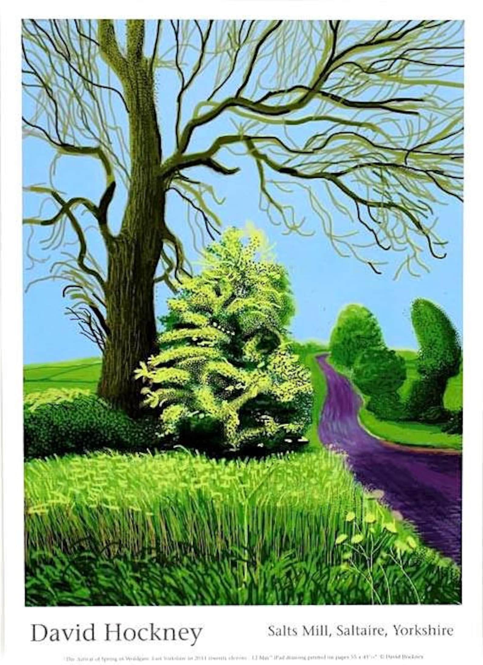 DAVID HOCKNEY 'the Arrival of Spring' Original Exhibition Poster salts