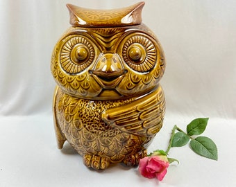 Vintage McCoy Owl Cookie Jar Mid Century 1970’s #204