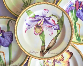 Botanical Plate Set - Etsy