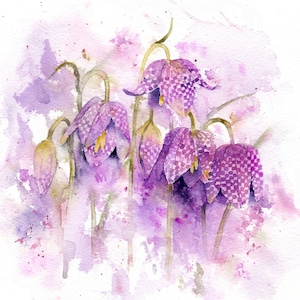 Instant download step by step watercolour tutorial to paint at home snakeshead fritillaries