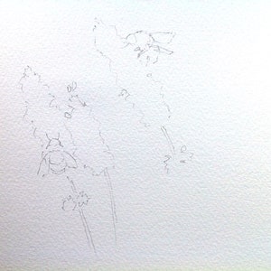 May include: A pencil sketch of two bees on flowers. The bees are drawn in detail, with their wings and legs visible. The flowers are simple, with rounded petals.