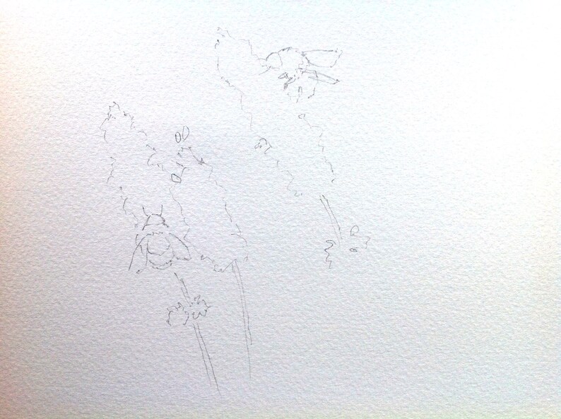 May include: A pencil sketch of two bees on flowers. The bees are drawn in detail, with their wings and legs visible. The flowers are simple, with rounded petals.