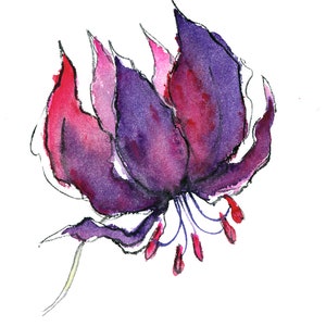 May include: Watercolor painting of a purple and pink flower with a long stem and delicate petals.