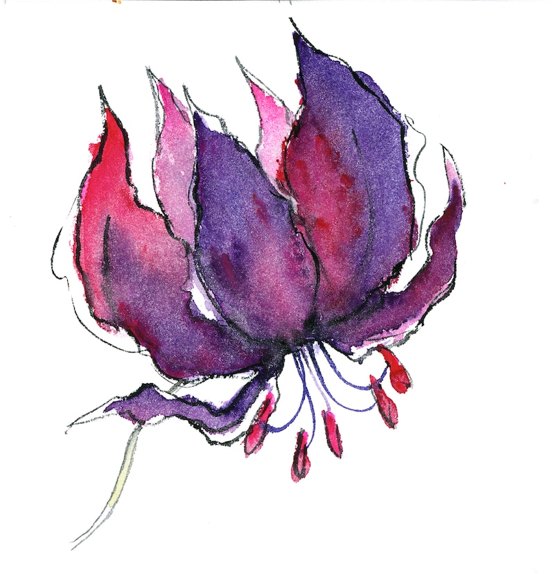 May include: Watercolor painting of a purple and pink flower with a long stem and delicate petals.
