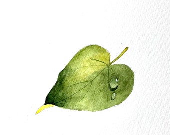 Tutoriel de peinture à l'aquarelle à téléchargement immédiat sur les gouttes de rosée