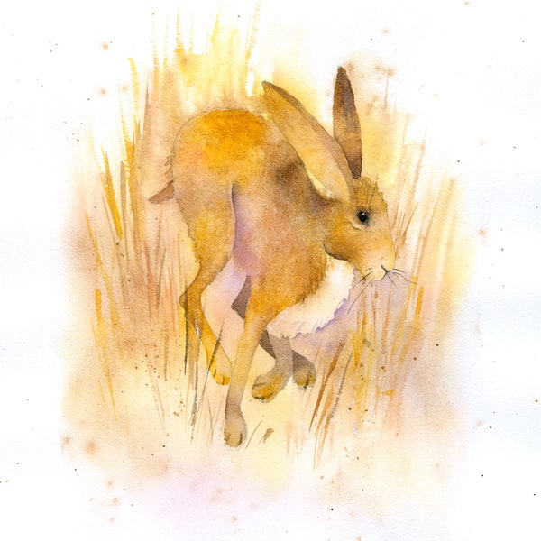 Watercolour step by step tutorial, Hare, animal painting