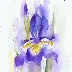 Instant download print at home watercolour tutorial art gift Splashy Spring Iris