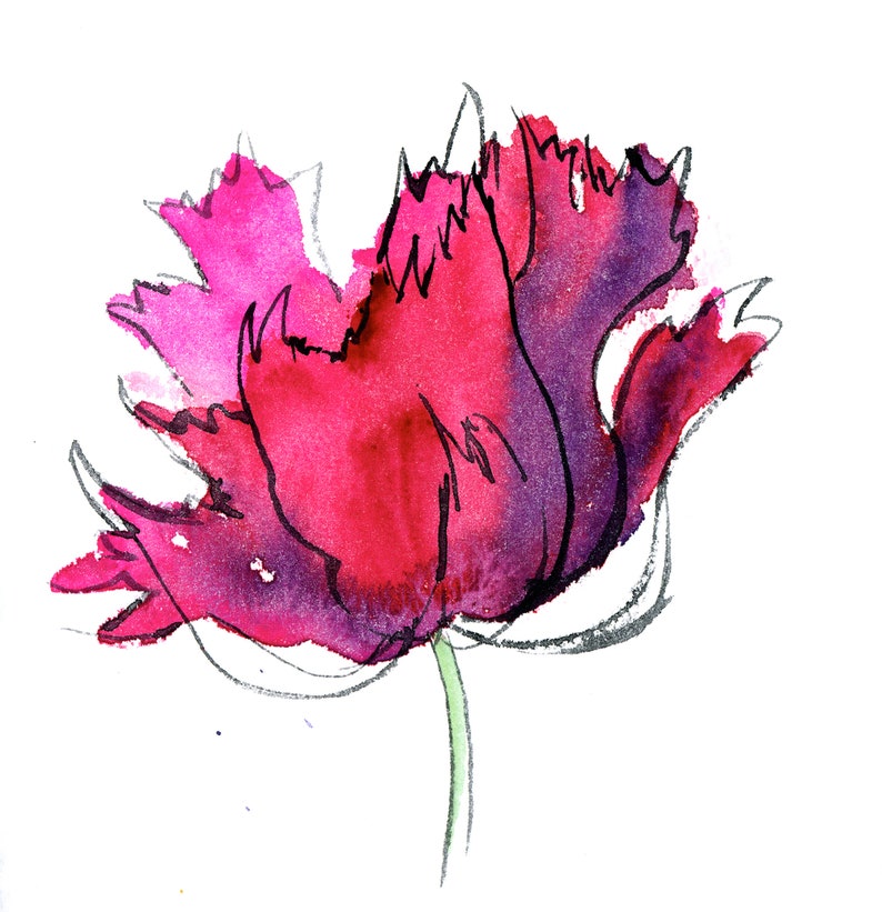 May include: Watercolor painting of a single pink and purple flower with a green stem.