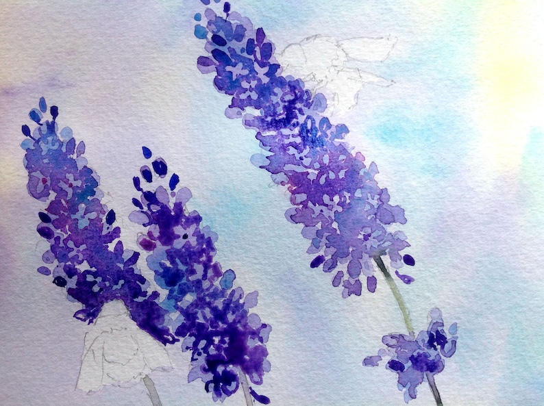 May include: Watercolor painting of lavender flowers in shades of purple and blue against a light blue and white background.