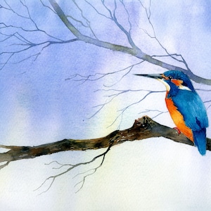 Instant download print at home Watercolour tutorial step by step watercolor kingfisher illustrated art gift