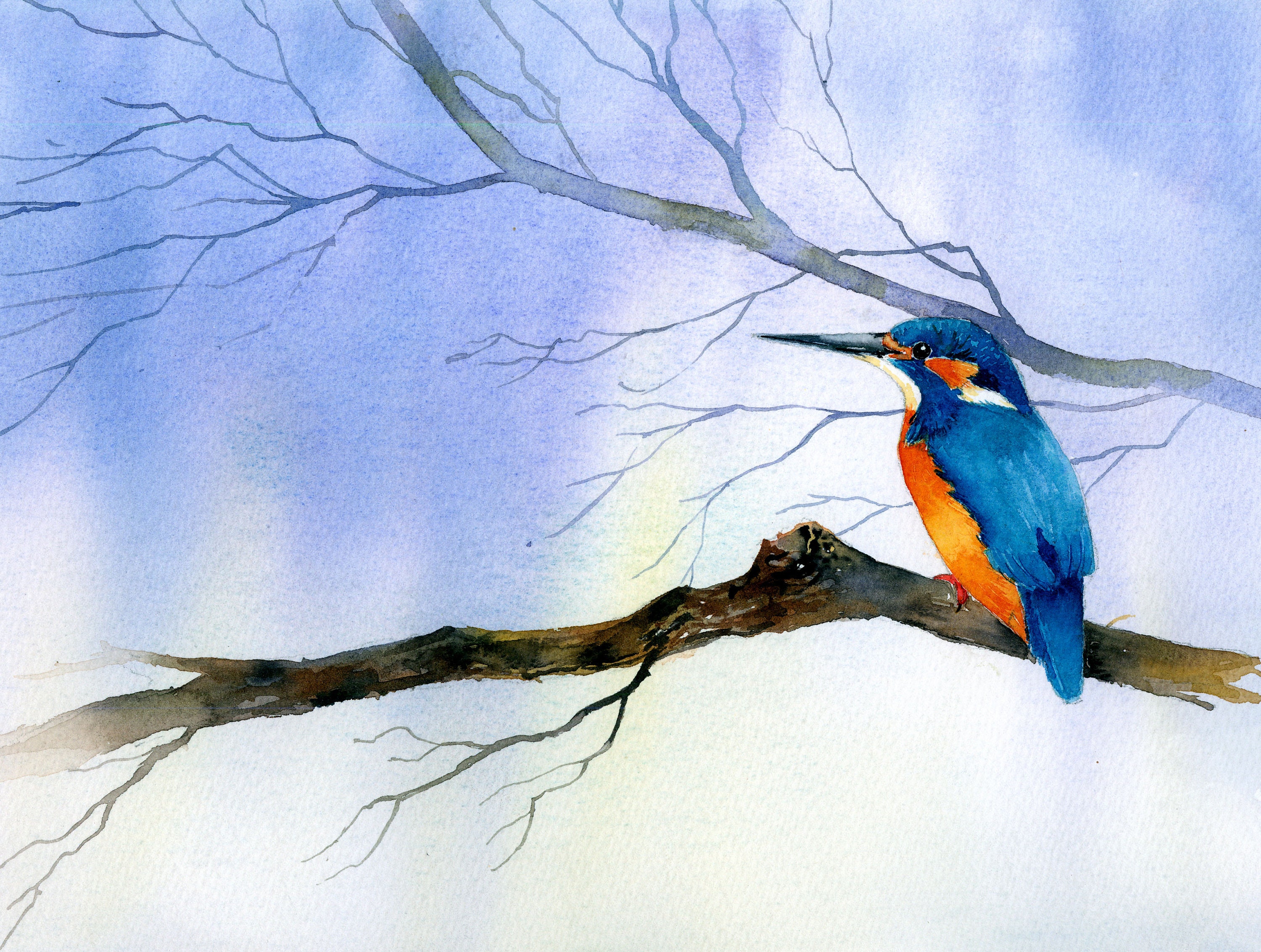 Instant download print at home Watercolour tutorial step by step watercolor kingfisher illustrated art gift