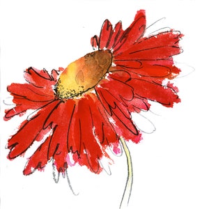 May include: A watercolor painting of a red daisy with a yellow center. The flower is painted in a loose, expressive style.