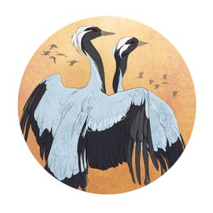 Cartão de felicitações Demoiselle Crane