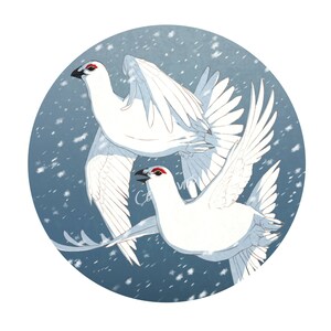 Cartão de Saudações Ptarmigan