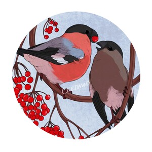 Cartão de Saudações do Bullfinches Eurasiáticos