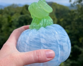 Carolina skies pumpkin with light green stem