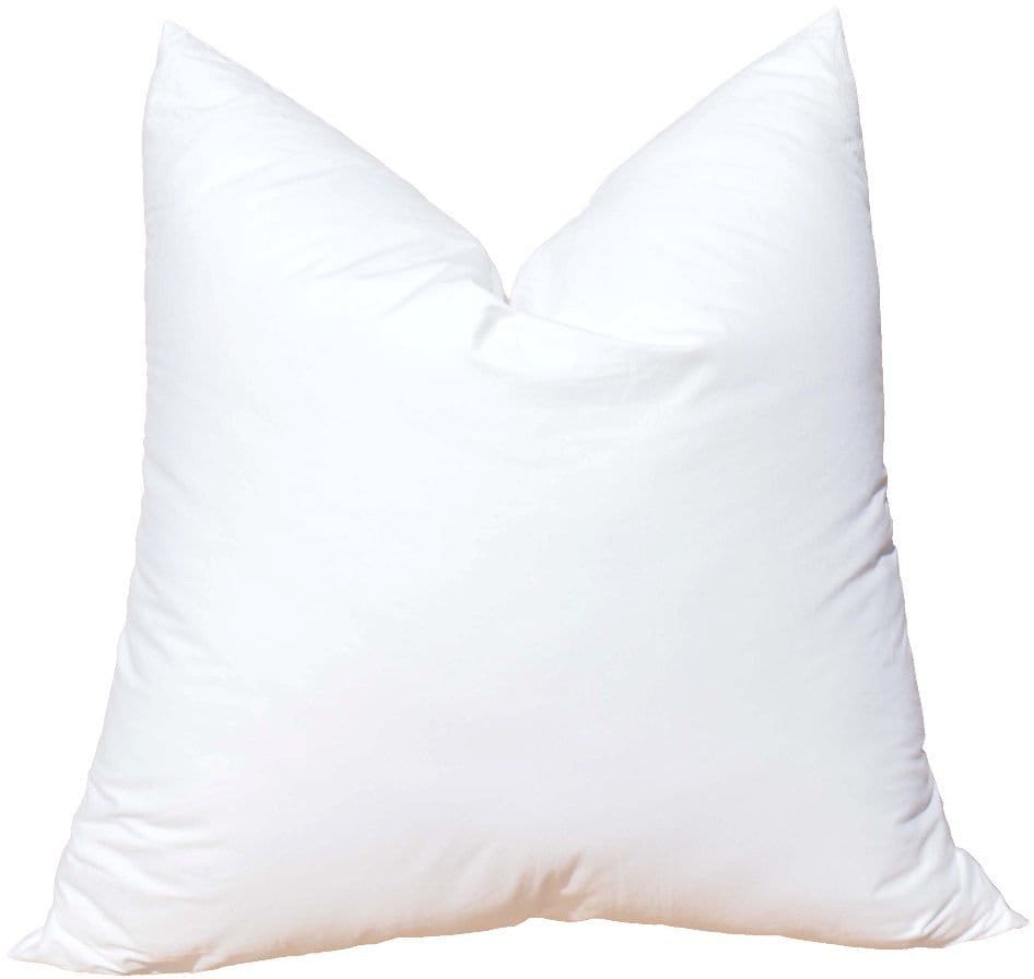 22x22 pillow insert