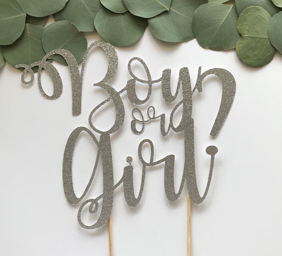 Gender reveal cake topper, boy or girl cake topper, gender reveal decorations, gender reveal party, gender reveal, gender reveal ideas Il_570xn