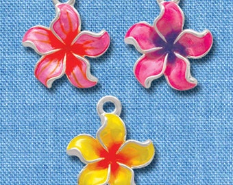 C3571 C3572 C3573 Enamel Plumeria Flower Charm - Silver Plated Charm, Tropical Flower Charms, Hawaiian, Hot Pink, Orange, Purple, or Yellow