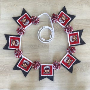 Ohio State University Buckeyes- Small 7 Flag Pennant Banner-Pom Pom Bunting-Wall Hanging-Party decor