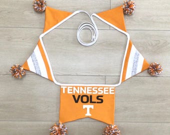 University of Tennessee Volunteers Pennant Banner, Party Decor, Celebration Bunting, Backdrop, Wall Hanging, Tailgate Banner