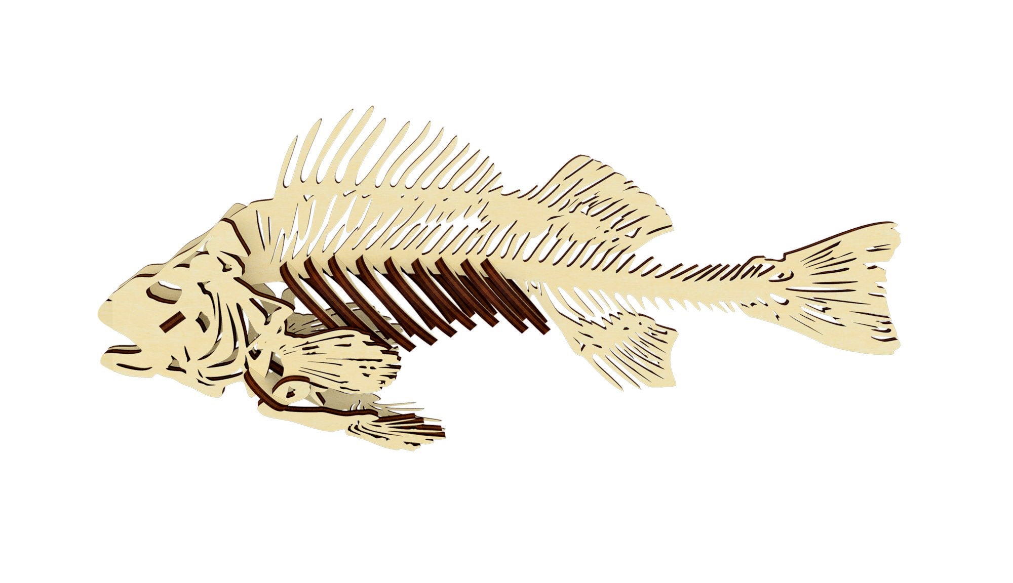 Laser Cut Fish Svg File Skeleton Laser Files Fish Etsy