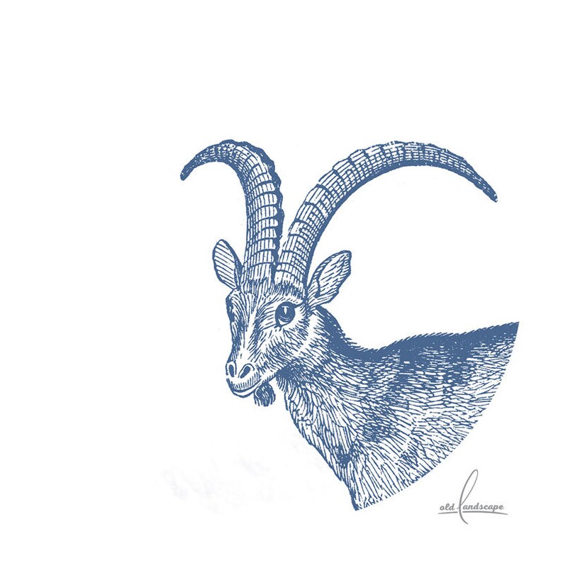 Children's Watercolor Mountain Goats Abstract Animal Etsy