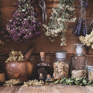 May include: Dried herbs hanging on a wooden wall with various glass bottles and jars filled with dried herbs and flowers.  The bottles and jars are arranged on a wooden table.