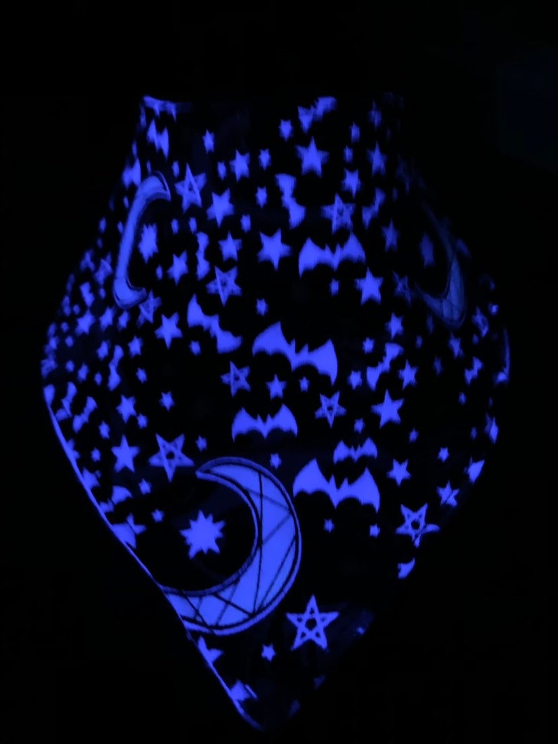 Glow in the Dark Halloween Scary Starry Night B-Dry Drool BibBibdanaBandana Bib