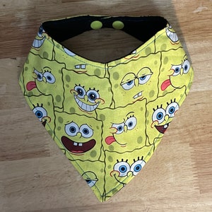 Many Faces of a Sponge B-Dry drool bib/bibdana/bandana bib