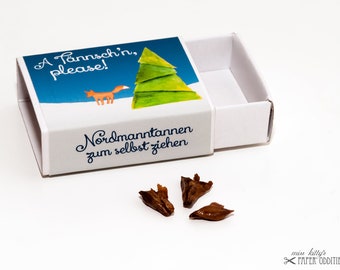 Puede incluir: Una caja de cerillas de cartón blanco con un panel superior azul que muestra un árbol de Navidad verde, un zorro naranja y el texto A Tännsch'n, please! El lateral muestra el texto Nordmanntannen zum selbst ziehen, junto a tres pequeñas semillas marrones.