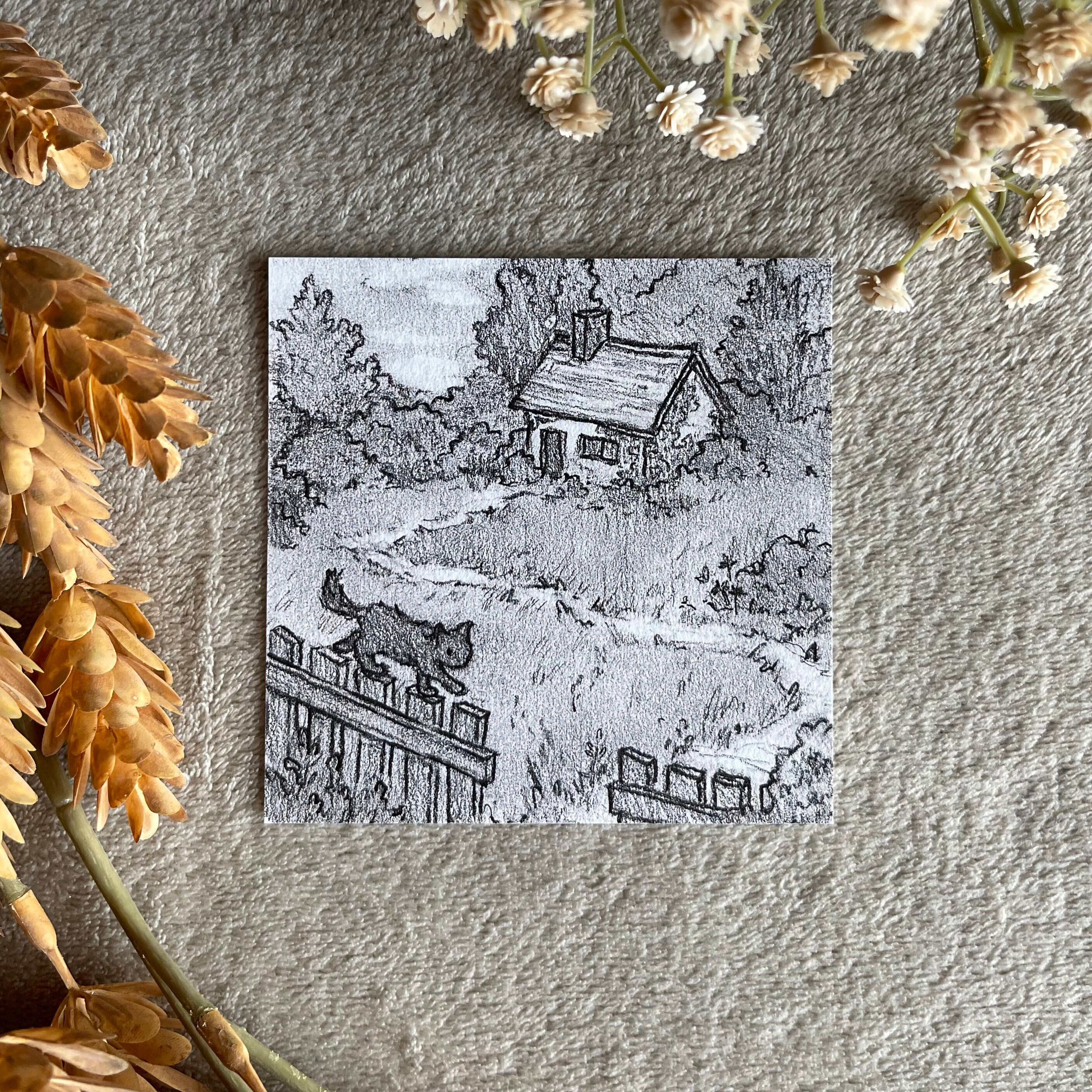 4x4 Prints Multi-pack 5 Count - Etsy
