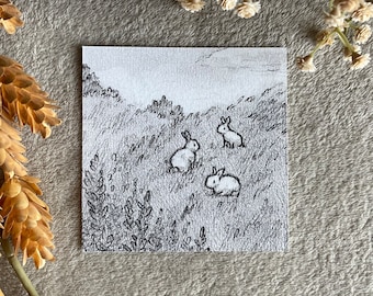 Conejos en un campo