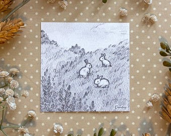 Bunnies in a Field